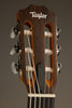 Taylor Academy 12e-N LTD Nylon String Acoustic Electric Guitar - New