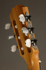 Taylor Academy 12e-N LTD Nylon String Acoustic Electric Guitar - New