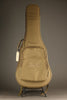 Taylor Academy 12e-N LTD Nylon String Acoustic Electric Guitar - New