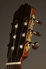 Kremona F65CW Nylon String Acoustic Electric Guitar - New
