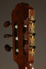 Kremona F65CW Nylon String Acoustic Electric Guitar - New