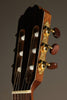 Kremona Verea Nylon String Acoustic Electric Guitar - New