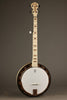 Deering Goodtime Special 5-String Resonator Banjo - New