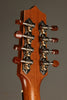 Kamaka HF-38 Tenor 8-String Ukulele - New