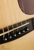 Huss & Dalton DM Dreadnought Mahogany Acoustic Guitar - New