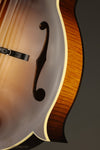 Collings MF Gloss Top Wide Nut Mandolin - New