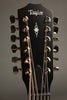 Taylor 354ce Acoustic Electric 12-String Guitar - New