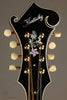 Kentucky KM-855 Amberburst Mandolin - New