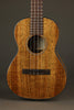 Martin TKE Acoustic Electric Tenor Ukulele - New