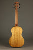 Martin TKE Acoustic Electric Tenor Ukulele - New