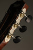 Taylor 812ce 12-Fret Acoustic Electric Guitar - New
