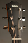Taylor 414ce Studio Sunburst Acoustic Electric Guitar - New