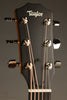 Taylor 414ce Studio Sunburst Acoustic Electric Guitar - New