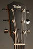 Taylor 414ce Studio Sunburst Acoustic Electric Guitar - New