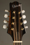 KR Strings Octolindo S Deluxe Octave Mandolin - New