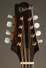 KR Strings Octolindo S Deluxe Octave Mandolin - New