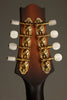 KR Strings Octolindo S Deluxe Octave Mandolin - New