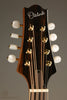 KR Strings Octolindo S Artist Octave Mandolin - New