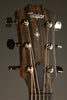 Taylor 312ce Acoustic Electric Guitar - New