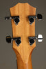 Taylor GS-Mini-e Sapele Bass - New