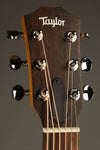 Taylor GS Mini-e LTD Year of the Snake - New