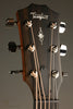 Taylor 314ce Acoustic Electric Guitar - New