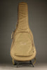 Taylor Academy 10e LTD Acoustic Electric Guitar - New