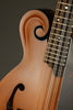 Northfield S Series NFS-F5EWN Engelmann Wide Nut Amber Mandolin - New