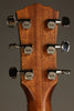 Taylor Gold Label 717e SB Acoustic Electric Guitar - New