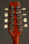 Kentucky KM-272 Mandolin - New