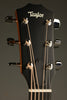 Taylor 414ce Studio Natural Acoustic Electric Guitar - New