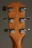 Taylor 414ce Studio Natural Acoustic Electric Guitar - New