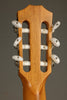 Taylor 812ce-N Nylon String Acoustic Electric Guitar - New