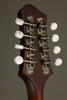 Eastman MD304 Mandolin - New