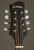 Eastman MD304E-SB Acoustic Electric Mandolin - New