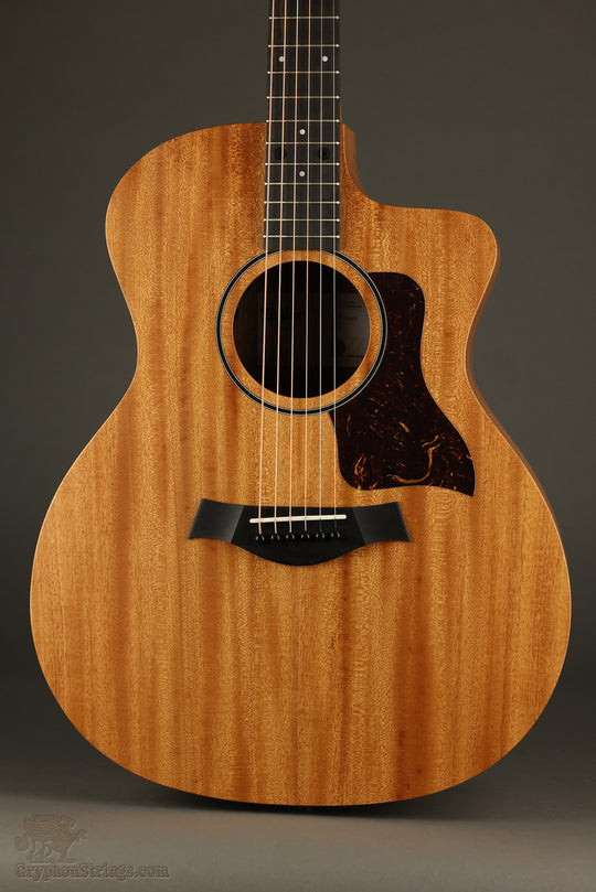 Taylor 24ce Acoustic Electric Guitar - New