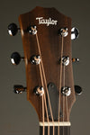 Taylor 24ce Acoustic Electric Guitar - New