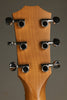 Taylor 24ce Acoustic Electric Guitar - New