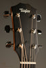 Taylor 414ce Studio Natural Acoustic Electric Guitar - New