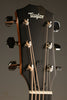 Taylor 414ce Studio Natural Acoustic Electric Guitar - New