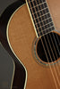 Santa Cruz Guitar Co. PJ Parlor-Style Steel String Acoustic Guitar - New