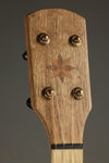 Pisgah Dobson 12", Cherry, Short Scale, 5-String Banjo - New