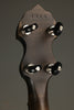 Vega Vintage Star 5-String Open Back Banjo - New