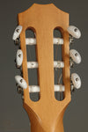 Taylor 812ce-N Nylon String Acoustic Electric Guitar - New