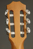 Taylor 812ce-N Nylon String Acoustic Electric Guitar - New