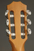 Taylor 812ce-N Nylon String Acoustic Electric Guitar - New