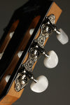 Taylor 812ce-N Nylon String Acoustic Electric Guitar - New