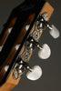 Taylor 812ce-N Nylon String Acoustic Electric Guitar - New