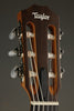 Taylor Academy 12e-N Nylon String Acoustic Electric Guitar - New