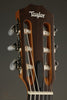 Taylor Academy 12e-N Nylon String Acoustic Electric Guitar - New
